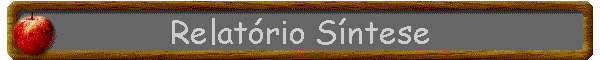 Relatrio Sntese