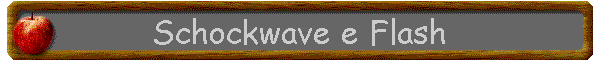 Schockwave e Flash